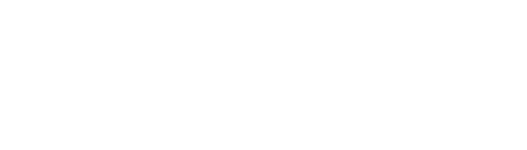 Shopify Partner